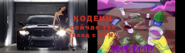 apvp Белокуриха