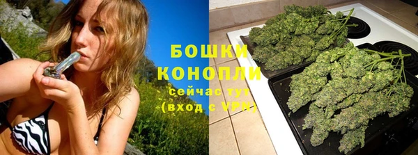 apvp Белокуриха