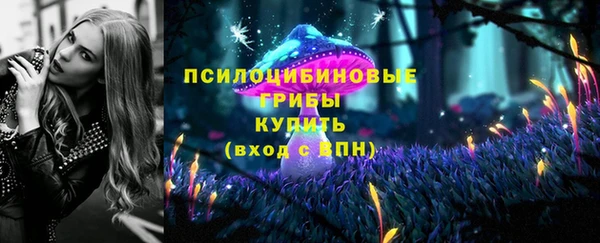 мяу мяу мука Белоозёрский