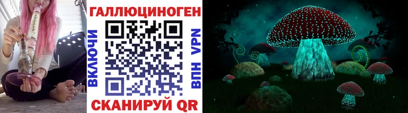 Галлюциногенные грибы Psilocybine cubensis  как найти   Курильск 